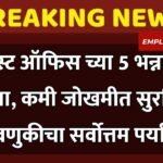 compressed_20251214_104548