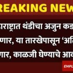 compressed_20251214_122413