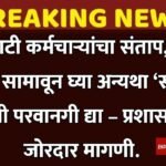 compressed_20251216_094442 (1)