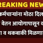 compressed_20251222_182855